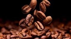 Voting opens for Diners Club SA's 2026 Barista of the Year competition