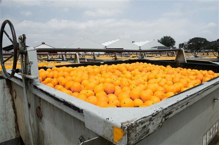 100% local oranges for Tiger Brands' Oros