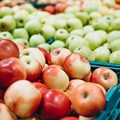 Why AI could reshape South Africa's fruit export industry