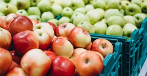 Why AI could reshape South Africa's fruit export industry