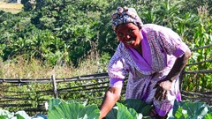 Home food gardens help households weather cost-of-living pressures
