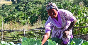 Home food gardens help households weather cost-of-living pressures