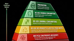The DFFE food losses and waste strategy: A step closer to a more sustainable food future