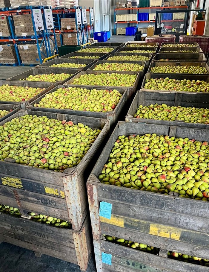 The DFFE food losses and waste strategy: A step closer to a more sustainable food future