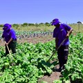 Eastern Cape communities benefit from farming and enterprise support