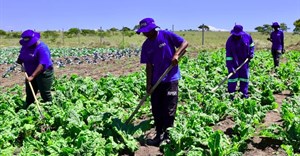 Eastern Cape communities benefit from farming and enterprise support