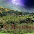 Image credit: on