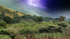 Image credit:  on