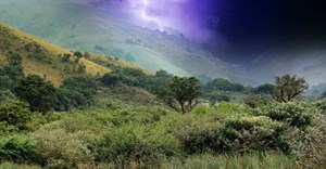 Image credit:  on