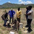 How soil intelligence is reshaping farming decisions