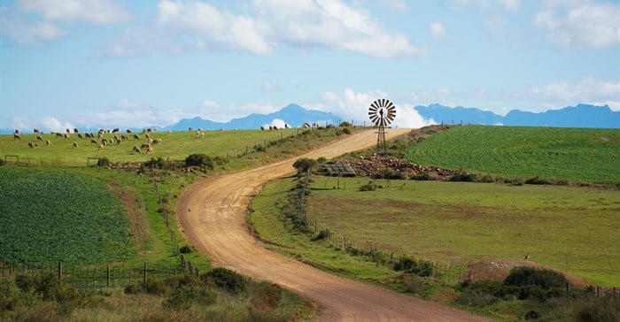 Will El Niño drought hit food prices in South Africa? Earlier rains and grain stocks offer hope