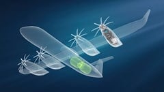 Source: Airbus
