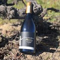Piekenierskloof releases 713 bottles from 50-year-old Palomino vines