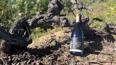 A forgotten Cape grape returns in a rare old-vine release