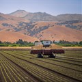 South African agriculture is moving beyond cycles as permanent change takes hold
