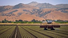South African agriculture is moving beyond cycles as permanent change takes hold