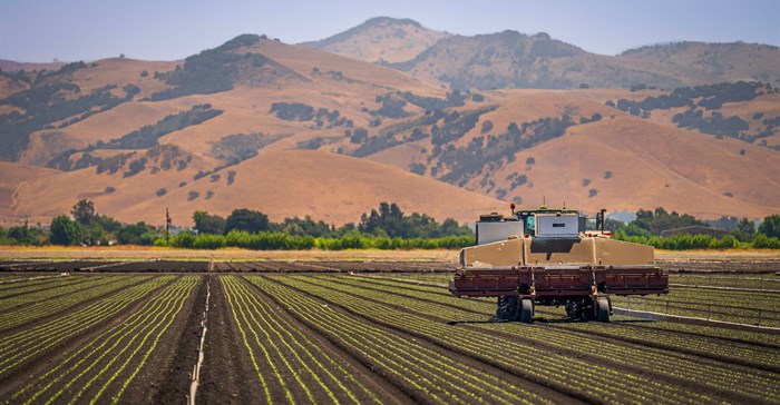 South African agriculture is moving beyond cycles as permanent change takes hold