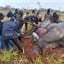Hot Cares helps protect both elephants and communities with R79,000 donation to Elephants Alive