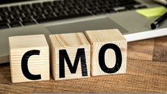 Only one in four chief marketers report being highly advanced, adaptable and agile in embracing emerging martech solutions and innovations (Image source: © 123rf )
