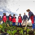 Shoprite reaches 300th community garden milestone in Bredasdorp