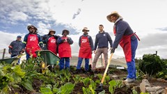 Shoprite reaches 300th community garden milestone in Bredasdorp