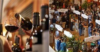 Stellenbosch Wine Routes celebrates 55yrs with return of Wine Town festival