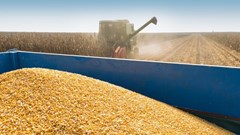 Bumper summer crops push SA food inflation down to 1.4% in June