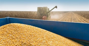 Bumper summer crops push SA food inflation down to 1.4% in June