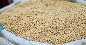 Grain SA opposes JSE decision to scrap soybean pricing model