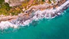 Source: Carlos Jamaica via