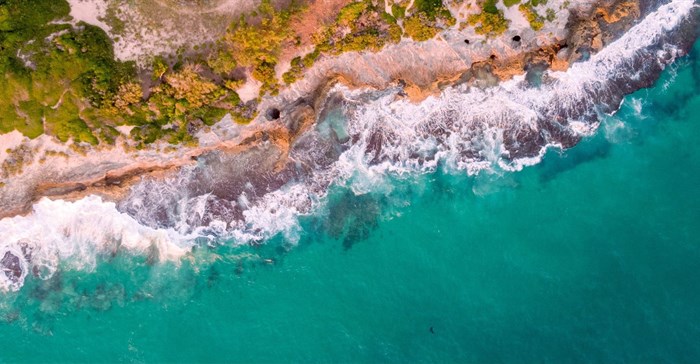 Source: Carlos Jamaica via