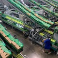 Ceres Fruit Growers completes major upgrade to expand export capacity