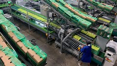 Ceres Fruit Growers completes major upgrade to expand export capacity