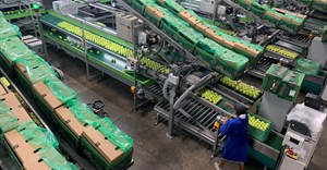 Ceres Fruit Growers completes major upgrade to expand export capacity