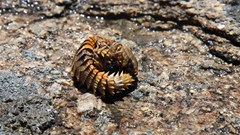 CapeNature warns small visitor offences can have a big impact on biodiversity
