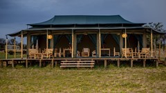 Amani Collection debuts luxury Serengeti camp along Great Migration route