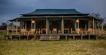 Amani Collection debuts luxury Serengeti camp along Great Migration route