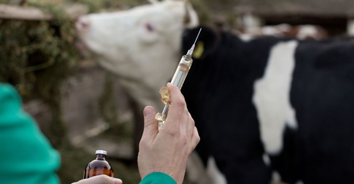 Livestock owners can now apply online to vaccinate against FMD