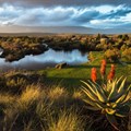 Bontebok National Park to reopen in phases from 1 August