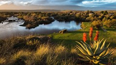 Bontebok National Park to reopen in phases from 1 August