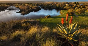 Bontebok National Park to reopen in phases from 1 August