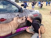 Thanks Lynda for the lovely rhino kisses.
