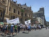 Cape Town marches for Paris - COP21