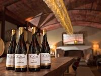 Zandvliet Wine Estate brings it home with the Kalkveld Lounge