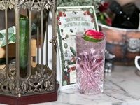 Hendrick's Gin celebrates World Cucumber Day