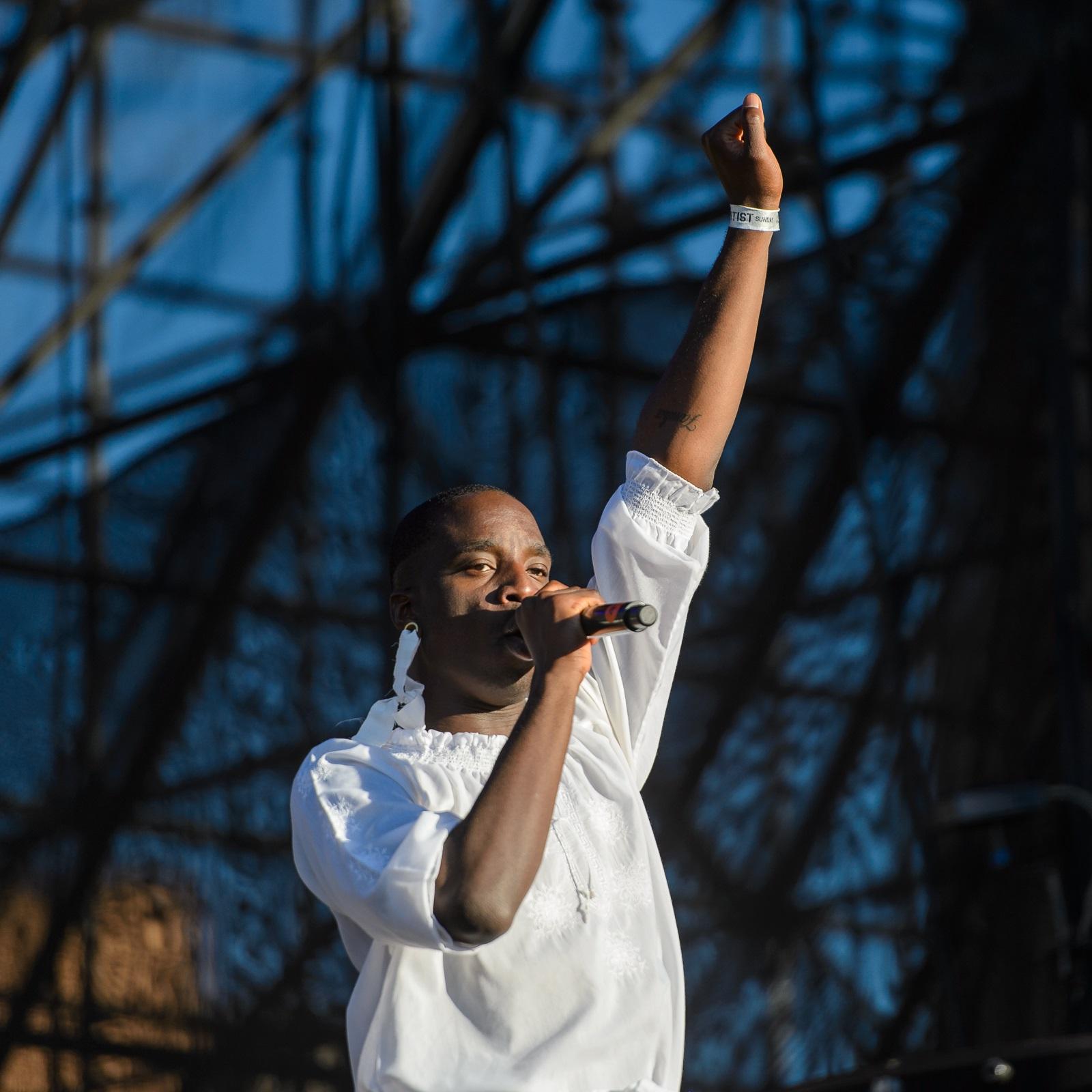 The Martell Afropunk festival experience