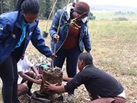 Increasing KwaZulu-Natal tree count with local NPO initiative