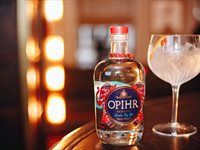 2019 OPIHR Global Cocktail Competition SA finale