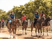 Johnnie Walker hosts first Whisky Meets Polo Masterclass