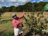 Tru-Cape Heritage Orchard Open Day